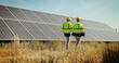 © David/peopleimages.com - Solar panels, team and technician with people in nature for photovoltaic grid, renewable energy or power generator. Sustainability, electric system or inspection with engineer in outdoor for project