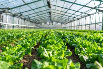 Controlled irrigation system inside a greenhouse food facility