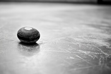 Poster - Close-up of a single curling stone on ice.