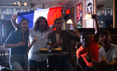 Wall Mural - Cheerful multiracial football fans waving the flag of France while drinking beer and watching tournament in sport bar