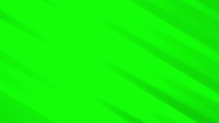 Wall Mural - Gradient green line smooth moving pattern textures. Green color lines animation loop background