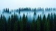 © Thamonchanok - Misty forest landscape with tall evergreen trees under a serene, foggy sky.