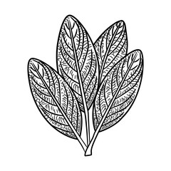 Wall Mural - A doodle style icon of foliage