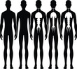 © Ridoy-Art  - Human Silhouette Evolution: Black & White Vector Illustration of Human Anatomy & Skeletal Development Stages Graphic Art