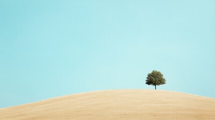 Wall Mural - Solitary Tree on Golden Hill Under Clear Blue Sky