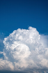 Wall Mural - blue sky and fluffy clouds
