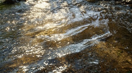 Poster - shimmering water surface with gentle waves reflecting sunlight on a clear day in a river close-up view