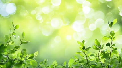 Poster - Soft focus abstract forest background with vibrant green leaves and bokeh light effect creating a serene natural atmosphere.