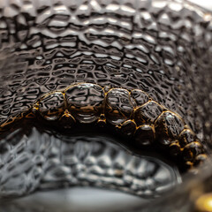 Poster - A CloseUp Image of Textured Glass Featuring Unique and Intricate Patterns and Design
