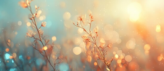 Poster - Bokeh light vintage abstract backdrop with delicate branches glowing softly in a dreamy atmosphere of warm and cool colors.