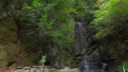 Wall Mural - Waterfall deep in the mountains, mysterious scenery