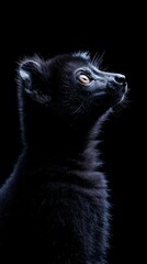 Aufkleber - A close-up profile of a black animal against a dark background, highlighting its features.