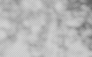 Wall Mural - abstract shadow overlay from foliage on a transparent background.