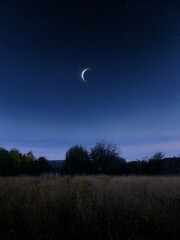 Wall Mural - Half moon in the starry sky. Night landscape with the Moon. Fields and forests in the moonlight.