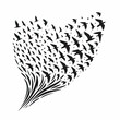 © mr.harrisson  - shape made of birds