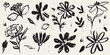 © KPstudio - Flower abstract hand drawn brush ink or chalk stroke. Sketch hand drawn silhouette floral plant, leaf grunge abstract vector illustration. Simple flower, leaf charcoal, pencil, crayon style elements.