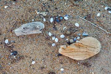 flotsam and jetsam on the beach.