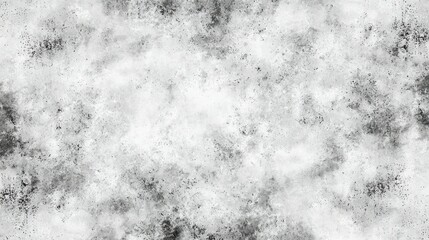 Poster - Grey seamless studio background. 