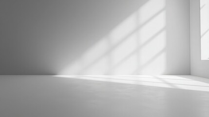 Poster - Blank white studio background. 