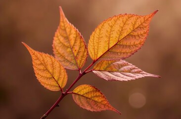 Wall Mural - Background from leaves close-up in Color of the year, 2025, mocha mousse,. Color of the year 