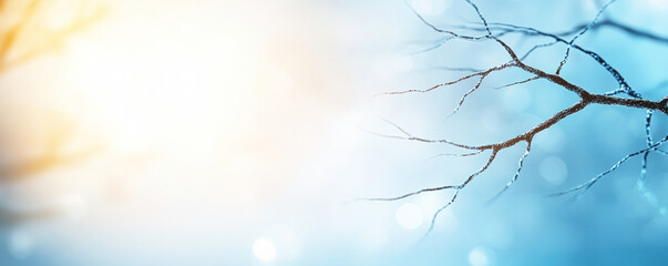 Wall Mural - winter morning tranquility captured as sunlight illuminates delicate, frosty branches against a sere