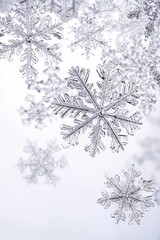 Fototapete - winter snowflakes falling on top section of the image, empty space for text on the bottom 