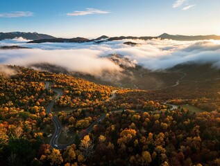 Poster - Golden hour paints the mountain valley in hues of amber and gold, as a blanket of mist rolls through the autumnal landscape.