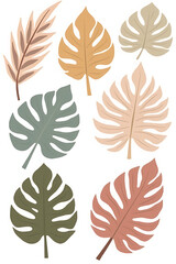 Poster - Collection of tropical leaves in soft pastel colors, a beautiful abstract leaf decoration design for interior spaces._00003_