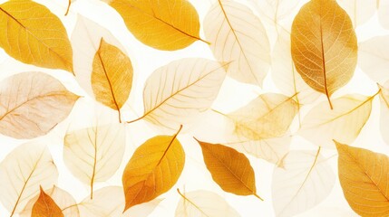 Aufkleber - Autumn leaves background featuring a collection of golden and beige foliage layered on a light surface for a cozy seasonal feel