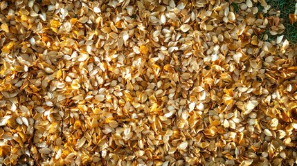 Poster - Dried autumn leaves scattered on green grass symbolizing the transition to winter and the beauty of seasonal change