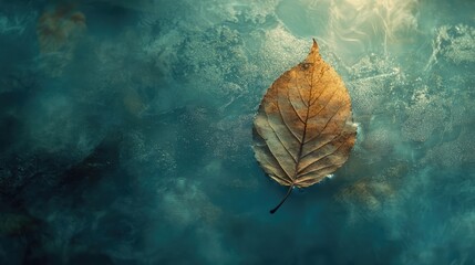 Poster - Autumn leaf floating on tranquil brook water with long exposure effect creating a serene natural atmosphere and beautiful composition