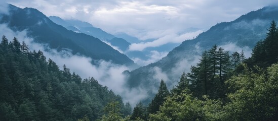 Aufkleber - Serene mountain landscape with misty valleys and lush green forests under a cloudy sky showcasing tranquil nature beauty