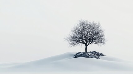 Poster - Lonely Tree on Snowy Landscape with White Background in Minimalist 3D Rendering