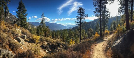 Aufkleber - Autumn hiking trail in a serene forest landscape with vibrant foliage and scenic mountain views under a clear blue sky
