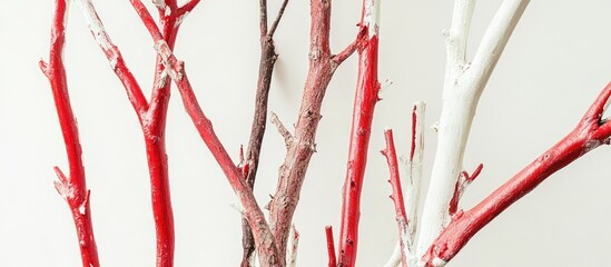 Poster - Colorful painted branches showcasing artistic expression and creativity with vibrant red and white hues against a neutral background.