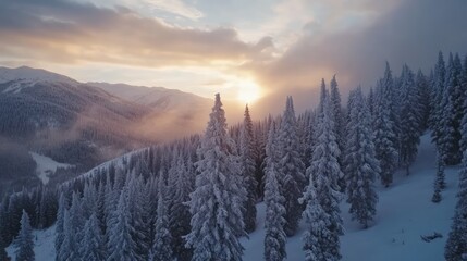 Aufkleber - Winter sunrise over snow-covered mountains with frosty pine trees creating a serene outdoor landscape in a tranquil atmosphere