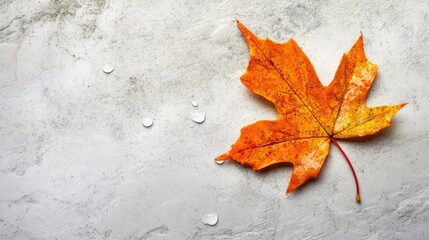 Aufkleber - Autumn leaf with water droplets on a textured surface showcasing seasonal beauty and natural elements