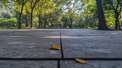 Poster - Leaf imprint on concrete pathway surrounded by lush green trees in a serene park setting during daylight.