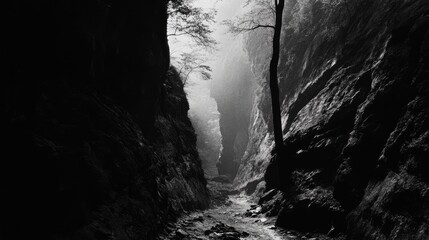Aufkleber - Mysterious canyon landscape in black and white with misty atmosphere and solitary tree creating an eerie, serene ambiance