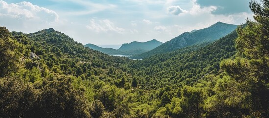 Aufkleber - Mljet National Park panoramic view showcasing lush pine forests and rugged hills surrounding scenic saltwater lakes in Croatia.