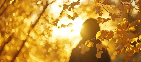 Poster - ethereal autumn scene with warm golden light illuminating silhouette among vibrant fall foliage