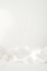 Poster - A simple white wooden tabletop sits atop a soft, blurred white background with subtle depth of field effects surrounding it._00001_