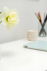 Poster - A simple home office scene features a desk with a pen holder and a single flower on a clean white surface._00002_