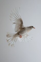 Sticker - White bird in flight