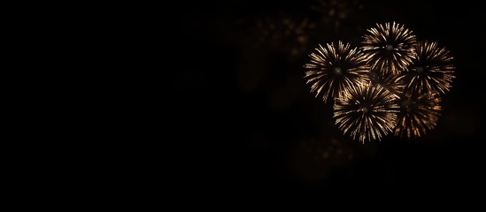 Poster - Colorful fireworks burst against a dark background creating a dramatic display with ample space for overlaying text or graphics