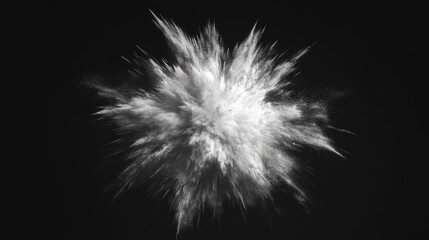 Poster - Dynamic burst of white powder particles exploding against a dark background showcasing artistic motion and texture in high contrast.