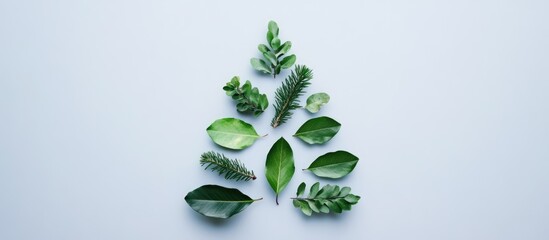 Aufkleber - Christmas tree made of green leaves and branches arranged in a minimal flat lay design showcasing nature's beauty and simplicity