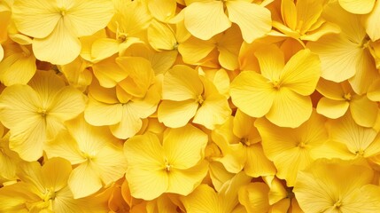 Wall Mural - bright and vibrant close-up of yellow flowers creating a stunning floral background for design and d