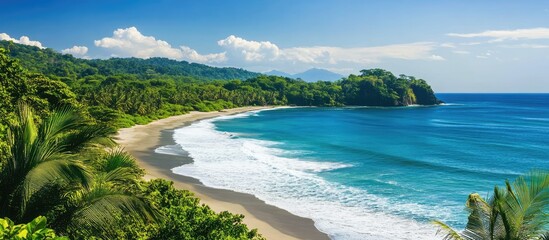 Poster - Tranquil coastal landscape showcasing a serene beach with lush greenery and vibrant blue ocean under a clear sky