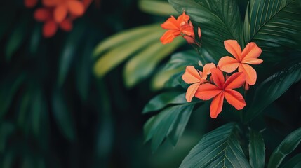 Poster - Vibrant orange flowers amidst lush green foliage with a soft focus background ideal for floral design and nature-themed projects